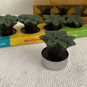 Unscented candles, 15 party lights trees.